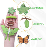 Figuritas de Ciclo de Vida de Mariposas SIENON, 4 Piezas