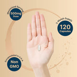 Suplementos de citicolina, colina CDP, dosis optimizada