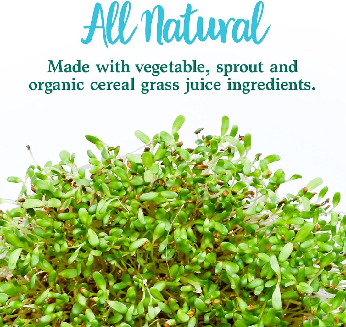 Suplemento Complemento vegetal de alimentos enteros  Polvo