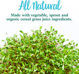 Suplemento Complemento vegetal de alimentos enteros  Polvo