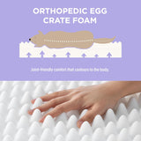 Lesure Cama ortopédica de espuma para perros grandes blanco