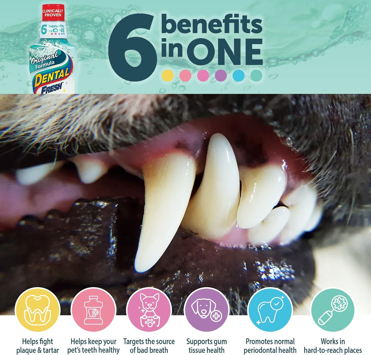 Aditivo de agua dulce dental para mascotas para blanquear