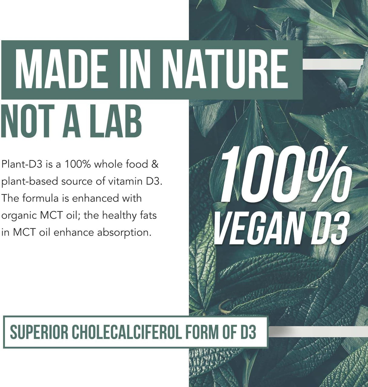 Plant-D3 Vitamina D3 Orgánica Max Fuerza 5000 IU - 1oz