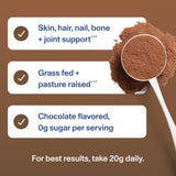 Polvo de colágeno Vital Proteins, promueve salud en piel y más