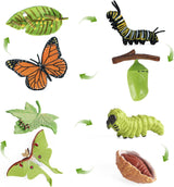 Figuritas de Ciclo de Vida de Mariposas SIENON, 4 Piezas