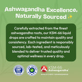 Suplemento ashwagandha KSM 66 líquido vegano, 60ml