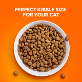 IAMS Proactive Health Adult Sensitive Digestion &amp; Skin Dry Cat Food with Turkey, 6 lb. Bag