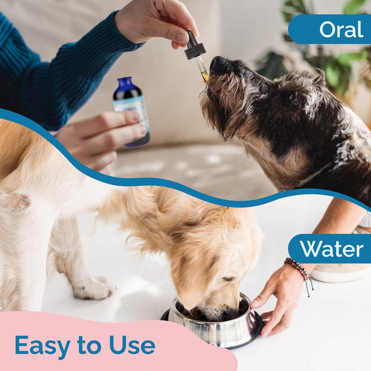 Vitaminas en los perros Fórmula de hierbas sin regaliz