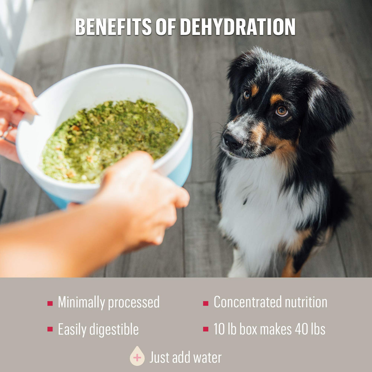 Alimento para perros de pavo de grano orgánico deshidratado