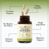 Suplemento Herbal Roots orgánicas de raíz de jengibre puro