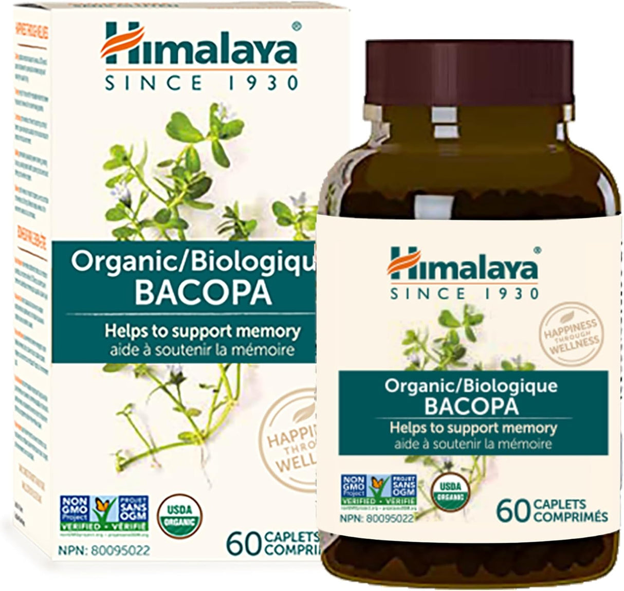 Hierbas de Bacopa del Himalaya, Modelo B001F0R034
