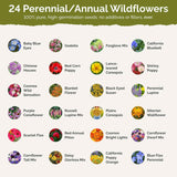 Semillas de flores silvestres , 1/4 lb 120,000+ semillas