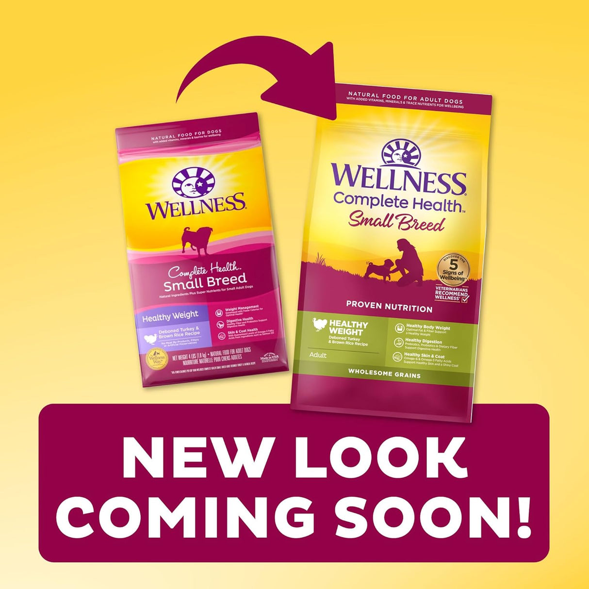 Alimento seco natural para perro de raza pequeña Wellness