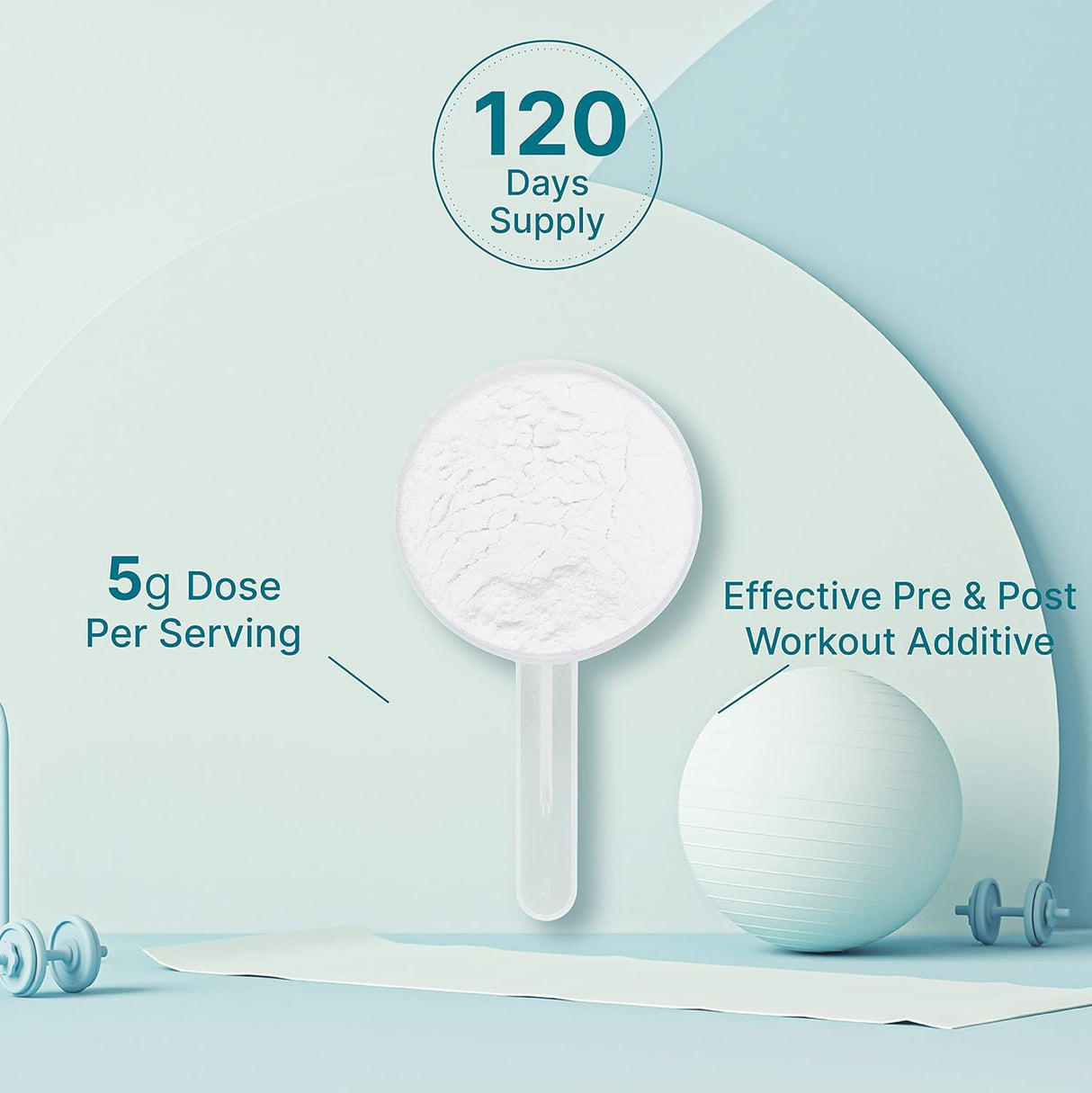 Suplementos Alimenticios Monohidrato de creatina en polvo