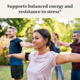 Suplementos Ashwagandha Root Apoya una respuesta de estrés