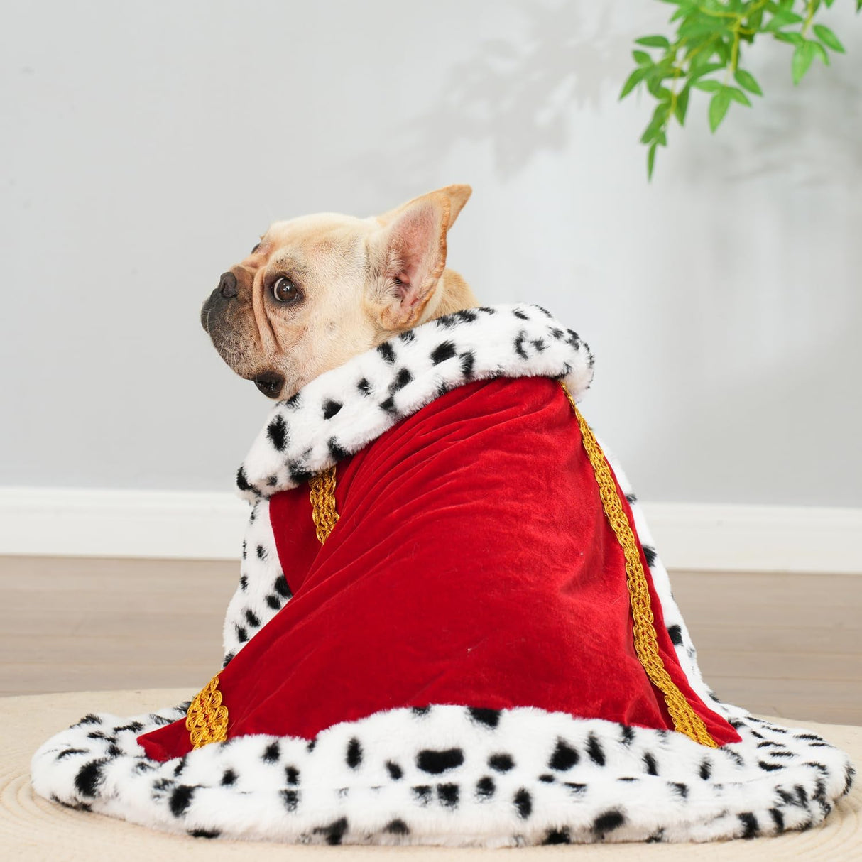 Capa de Lujo para Mascotas, Disfraz de Halloween, Modelo M