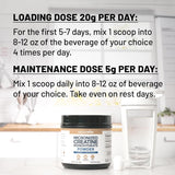 Creatina Micronizada NatureWise, 5000mg, 100 Serv, Unflavored