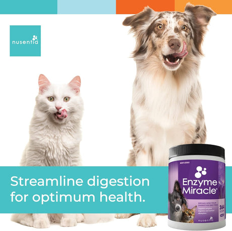 Enzimas Digestivas para Perros y Gatos - Enzyme Miracle, 364 Scoops