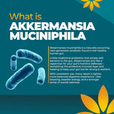 Akkermansia Probiótico, Apoyo Digestivo y Microbioma, 1B AFUs, 30 caps
