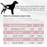 Paw Legend - Pañales reutilizables para perro hembra, 3 unidades