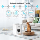Comederos y Bebederos automáticos para gatos