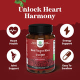 Suplemento Arroz de levadura roja con CoQ10 1200 mg 120u