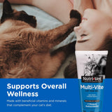 Gel para patas de felino