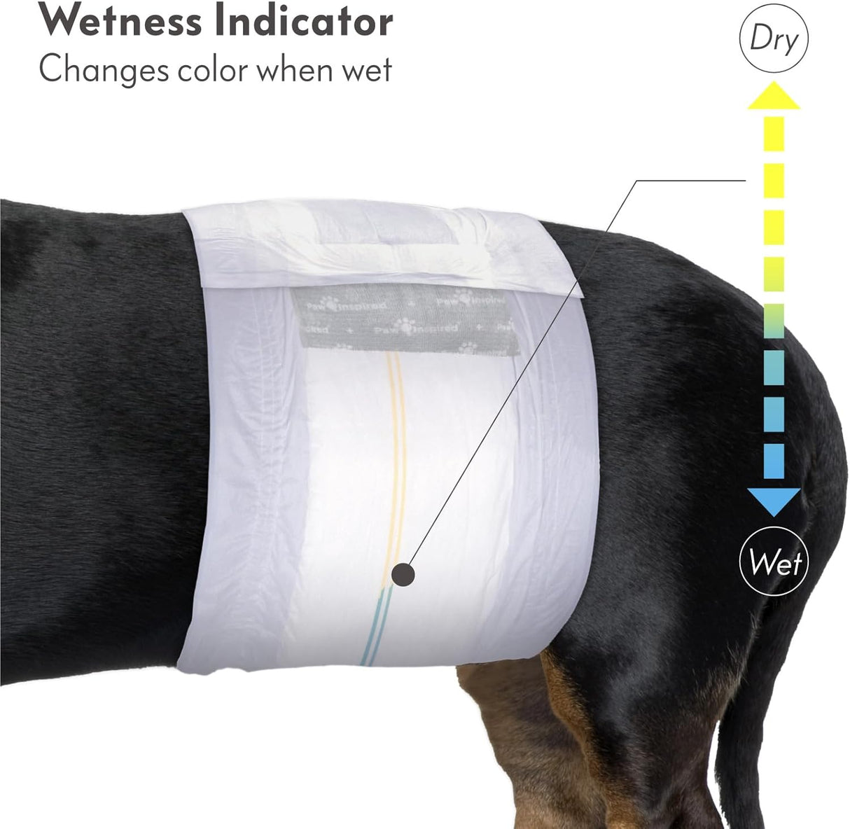 Paw Inspired Select Fit - Pañuelo desechable para macho