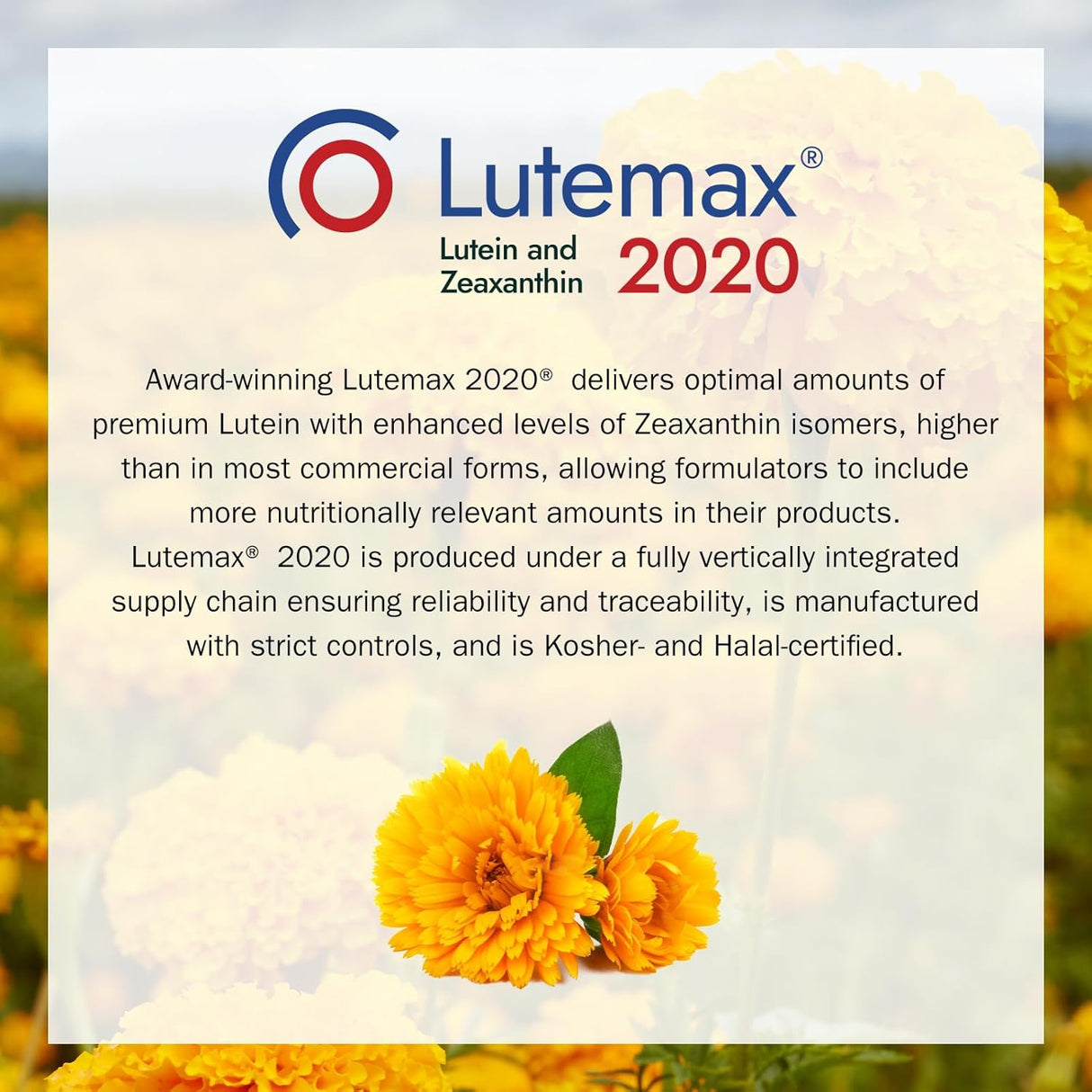 Suplemento de Luteína 20mg y Zeaxantina, Lutemax 2020, 60 cápsulas