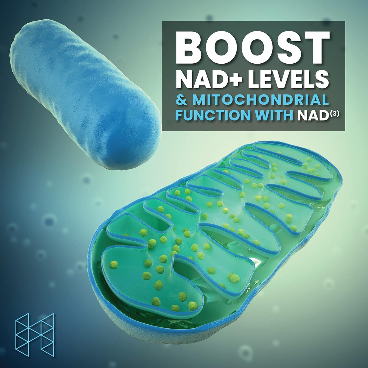 Suplemento HPN NAD+ Booster Alternativa NAD3 de longevidad