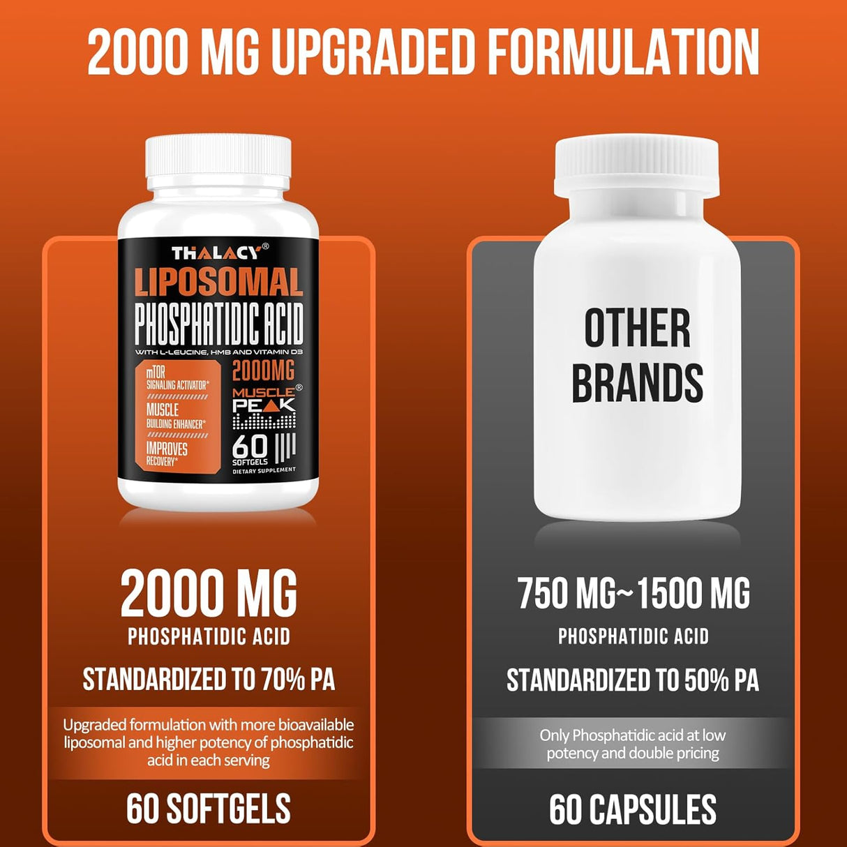 Suplementos de construcción muscular de alta absorción