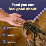 Blue Buffalo Comida para gatos, receta natural de pollo, Wilderness alta en proteínas, alimento seco para gatos adultos, bolsa de 12 libras