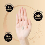 Suplementos Picolinato de zinc de alta potencia 100 mg  240u