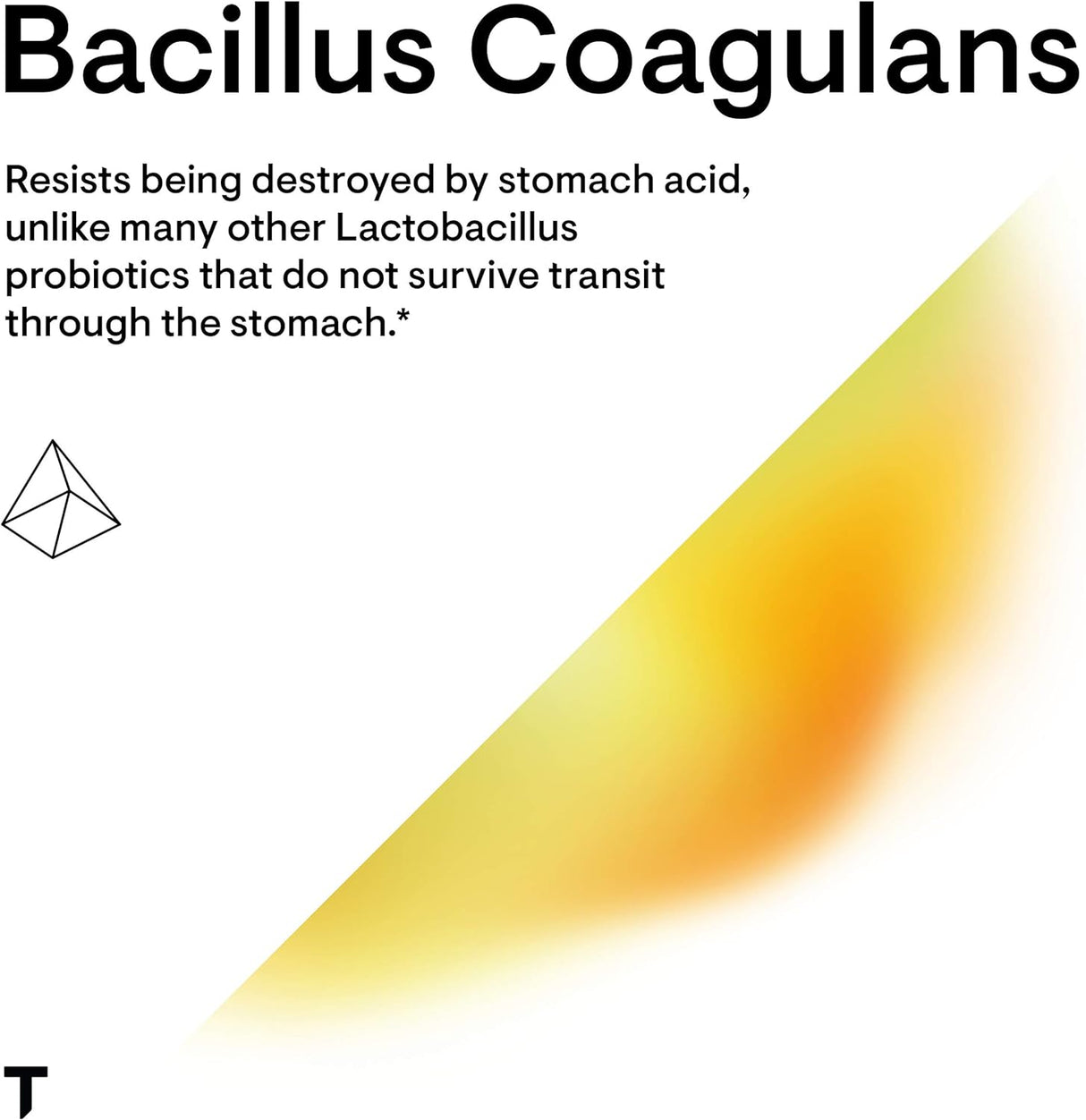 Suplementos Thorne Bacillus Coagulans Probiótico 60 cápsulas
