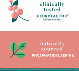 Suplementos Alimenticios de apoyo cerebral