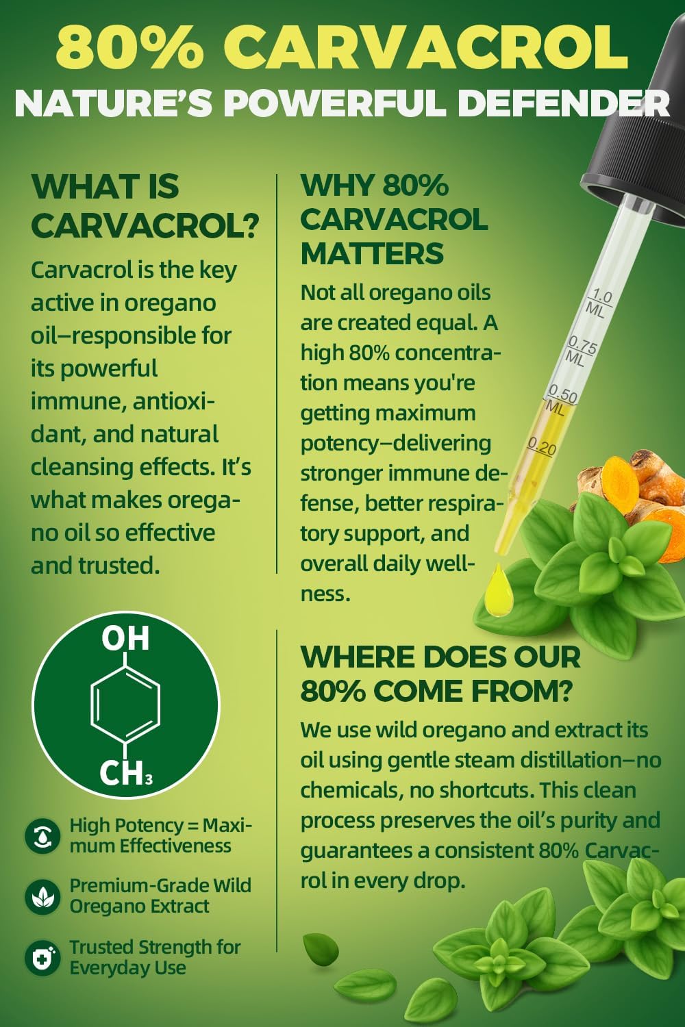 Aceite de Orégano Orgánico 80% Carvacrol con Semilla Negra, Cúrcuma y Vitamina E - Apoyo Inmunológico, Respiratorio y Digestivo - Vegano, Sin Azúcar, No GMO, 8 meses, 2 oz