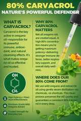 Aceite de Orégano Orgánico 80% Carvacrol con Semilla Negra, Cúrcuma y Vitamina E - Apoyo Inmunológico, Respiratorio y Digestivo - Vegano, Sin Azúcar, No GMO, 8 meses, 2 oz