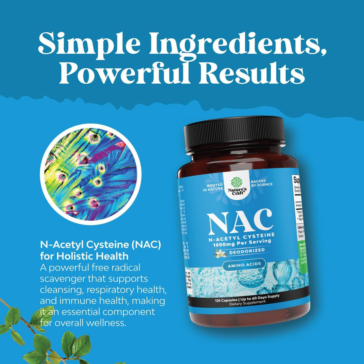 NAC Suplemento N-Acetil Cisteína 1000mg Vegan 2 Meses