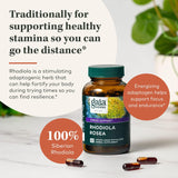 Suplemento de apoyo al estrés Rhodiola Rosea 120cap veganas