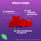 Natrol Gomitas Sleep Aid para niños, 1 mg  de 4 años, 60 und