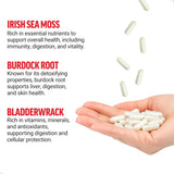 Irish Sea Moss Cápsulas Force Factor con Burdock, 90 cápsulas