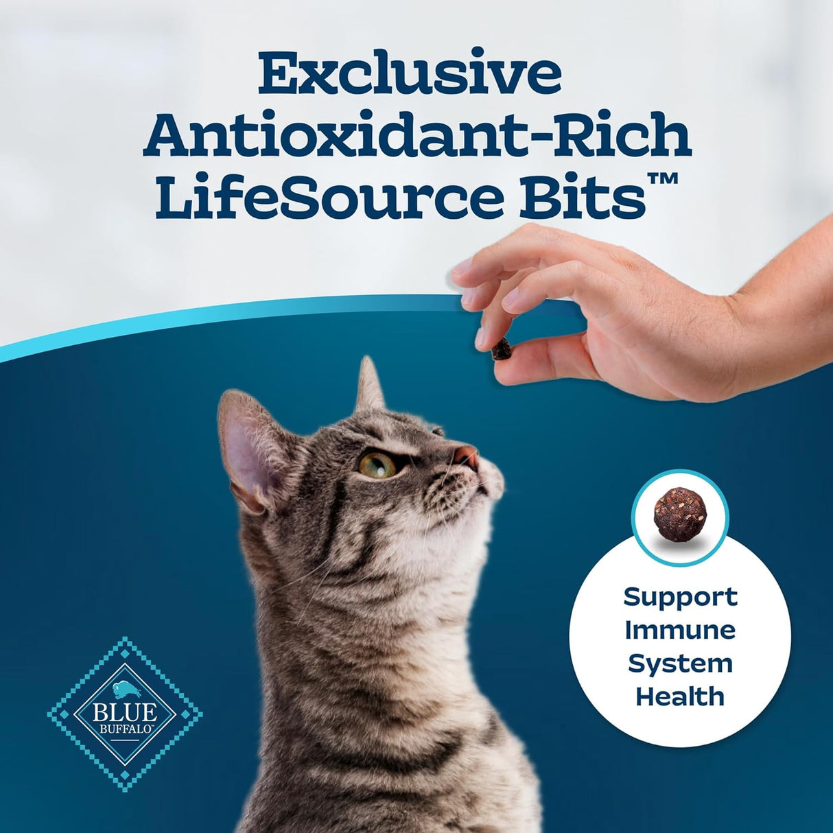 Blue Buffalo Tastefuls Indoor Natural - Alimento seco para gatos adultos, bolsa de pollo de 3 libras