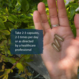 Dragon Herbs He Shou Wu Suplemento para apoyo inmunológico