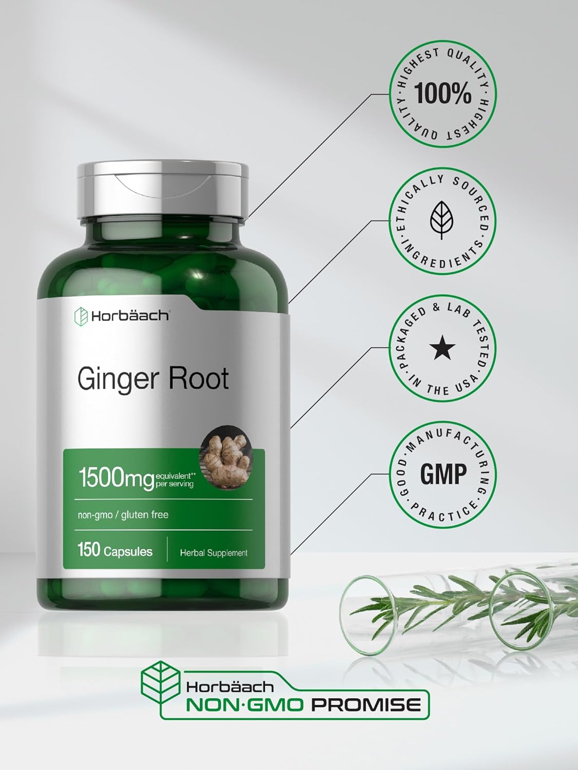 Suplemento de raíz de jengibre de 1500 mg  150 píldoras