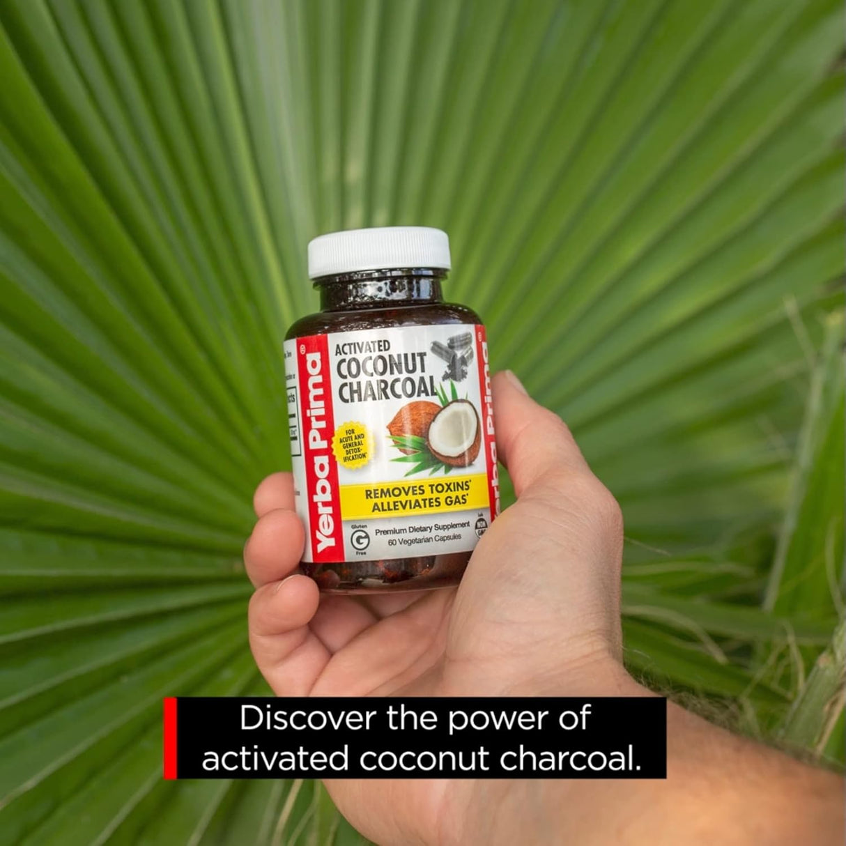 Cápsulas Vegetarianas de Carbón de Coco Activado
