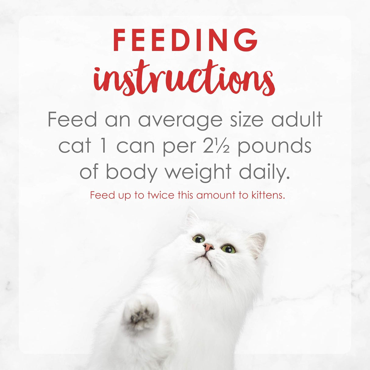 Alimento para Gatos húmeda enlatada Paté