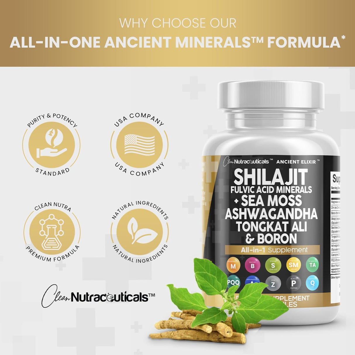 Suplemento Shilajit Clean Nutraceuticals 10,000mg 90 Cápsulas