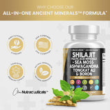 Suplemento Shilajit Clean Nutraceuticals 10,000mg 90 Cápsulas