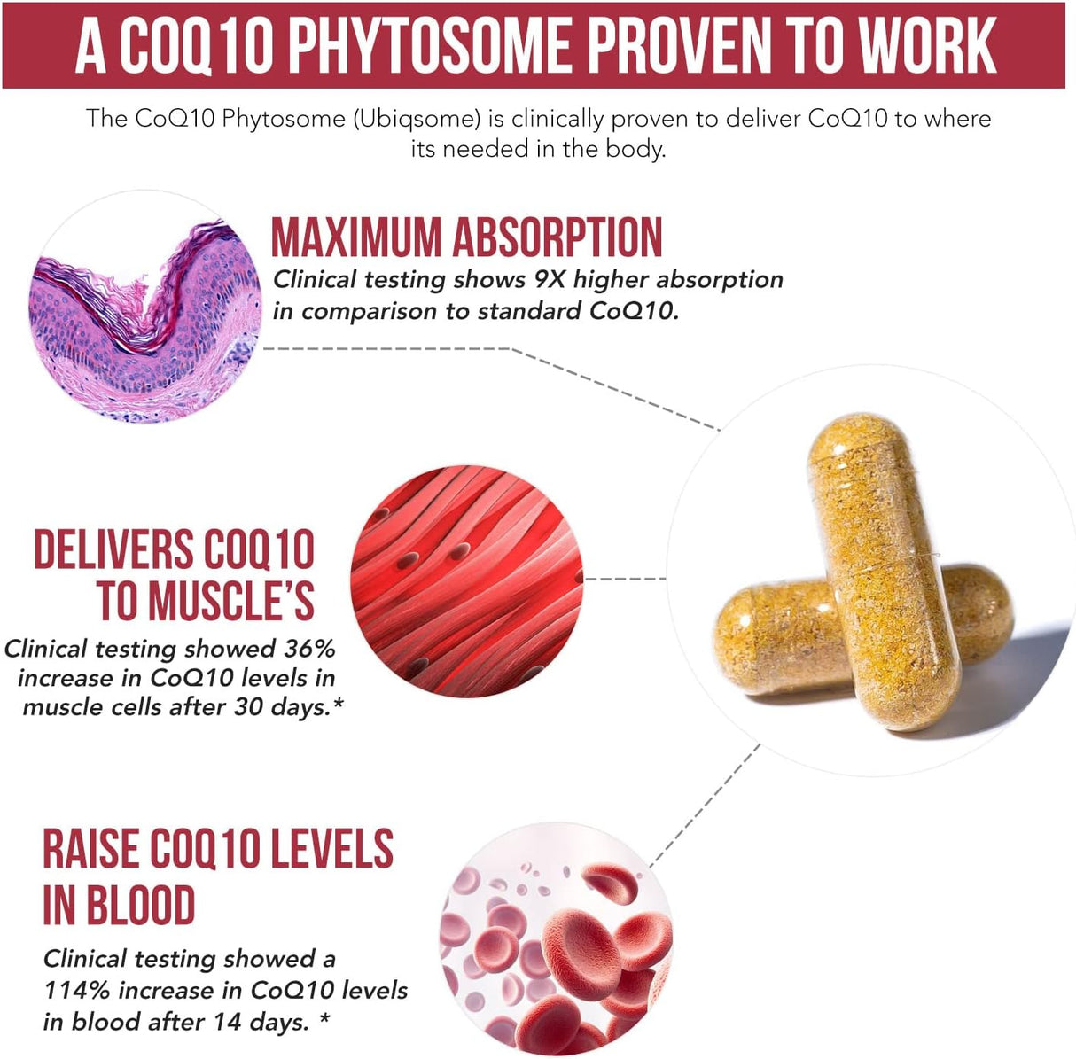 CoQ10 Fitosoma 250 mg: Absorción 9 Veces Mayor, 60 Cápsulas