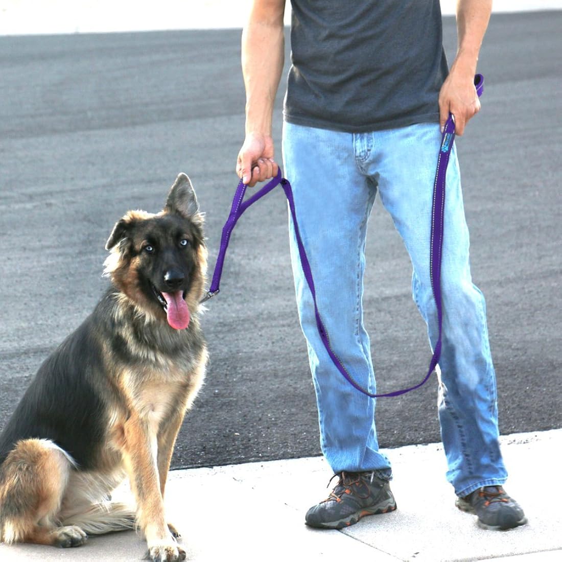 una correa al rescate de un perro
